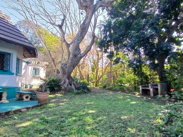 An Opportunity to Enjoy a Small-Scale Farming Lifestyle, Port Edward – photo 3