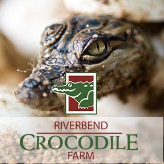 Riverbend Crocodile Farm