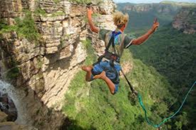 wild 5 Adventures